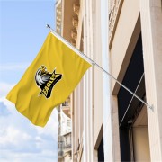 Custom poleFlag