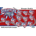 Scrappers - Baseball T-ball - Team Banner Design 