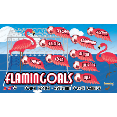 Flamingoals 1 - Team Banner Design 
