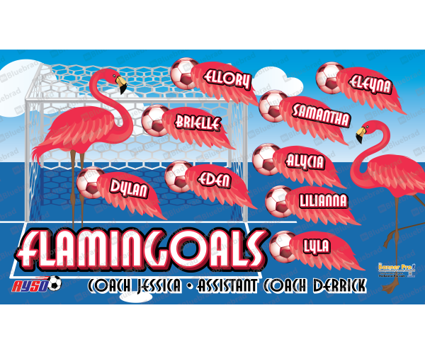 Flamingoals 1 - Team Banner Design 