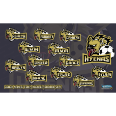Hyenas - Team Banner Design 