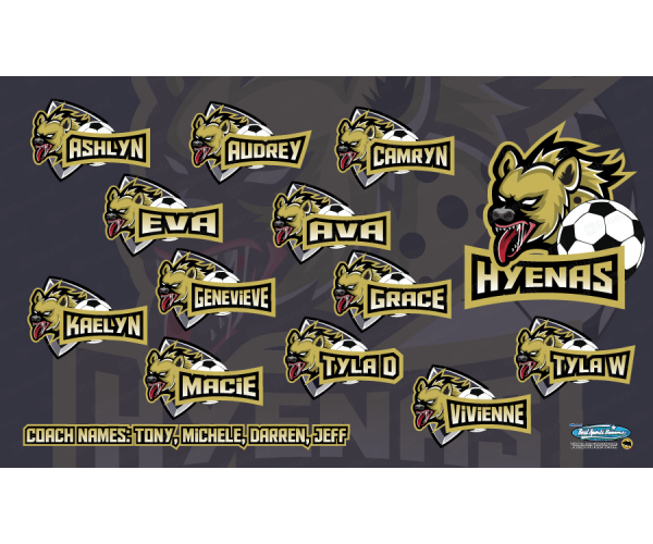 Hyenas - Team Banner Design 