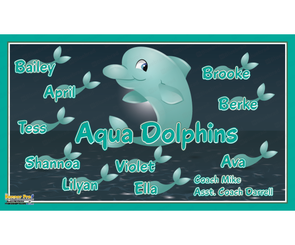 Aqua Dolphins 1 - Team Banner Design 